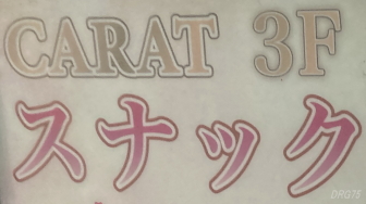 スナック新橋カラット