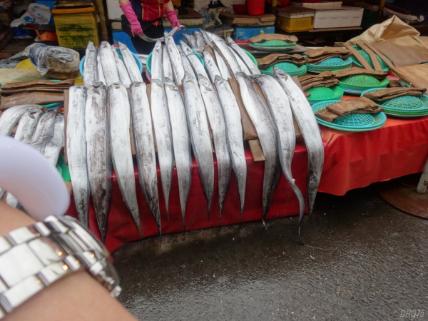釜山の太刀魚